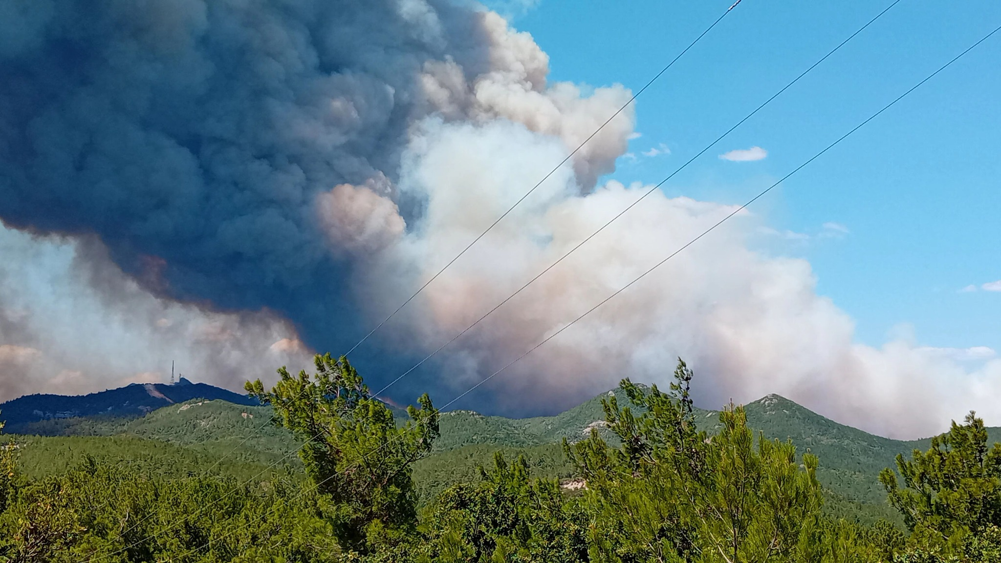 Αλεξανδρούπολη: Συνεχείς μεγάλες αναζωπυρώσεις, τεράστιες οι καταστροφές-Η πυρκαγιά πέρασε στο Ν. Ροδόπης (Συνεχής ενημέρωση)