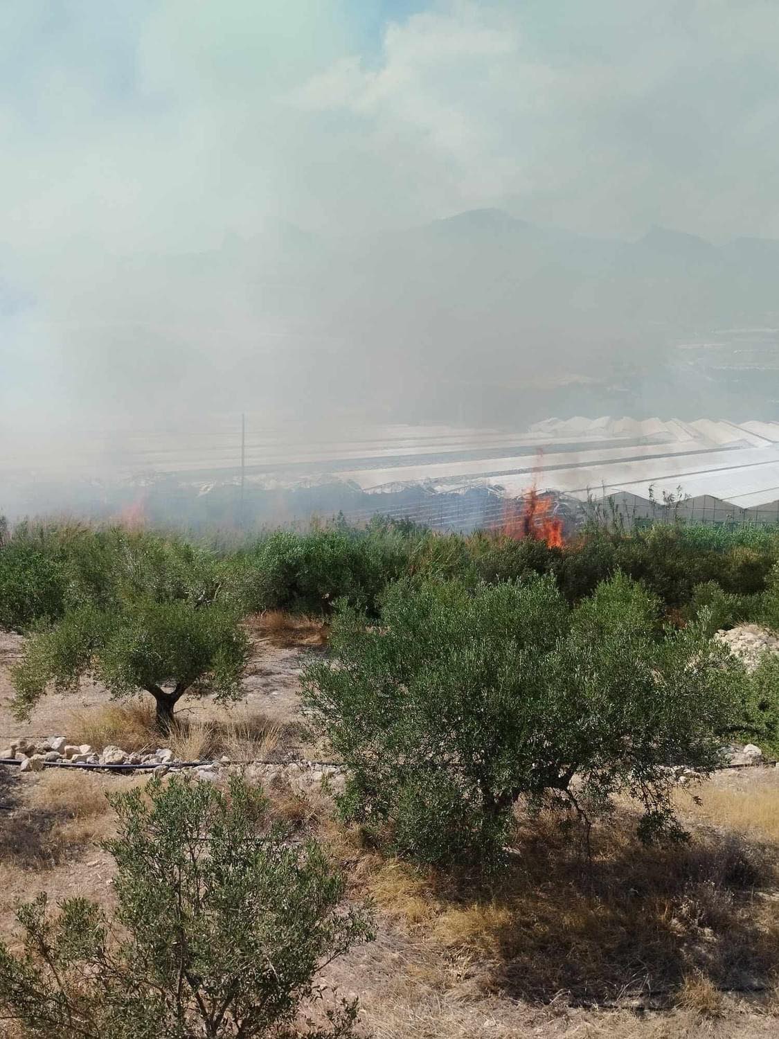 Ιεράπετρα: Καίγονται αγροτικές καλλιέργειες στην περιοχή Στόμιο