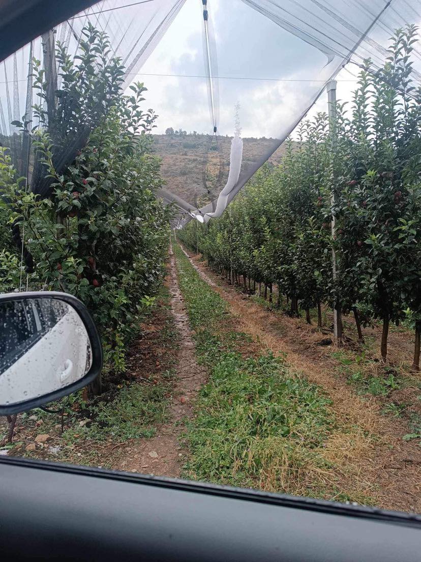 Εορδαία: Σφοδρή χαλαζόπτωση κατέστρεψε τα μήλα στο Μεσόβουνο