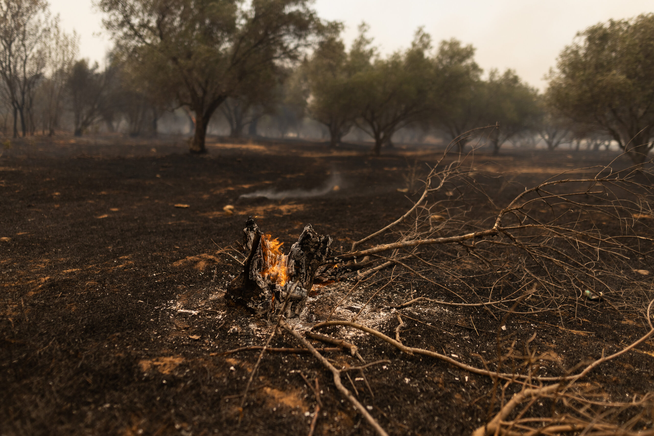 Καβάλα: Ενεργά τα πύρινα μέτωπα Αβραμυλιάς και Διαλεκτού