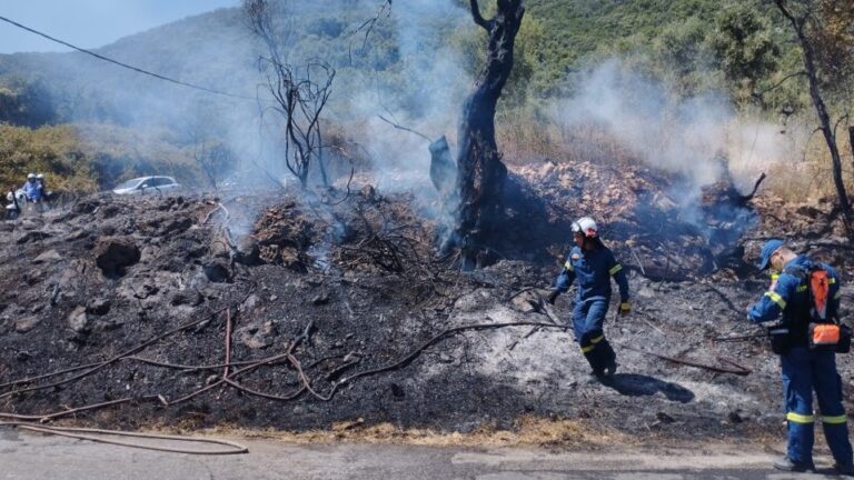 Ελασσόνα: Οριοθετήθηκε η φωτιά σε αγροτοδασική έκταση στην Κοκκινόγη