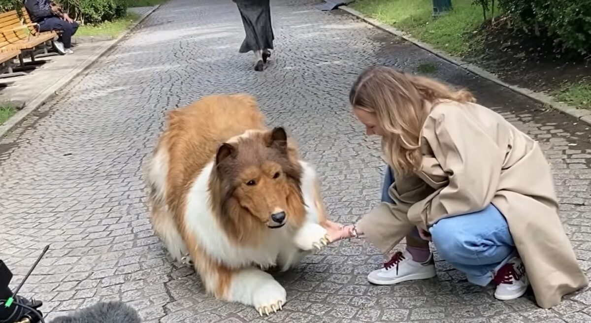 Ιαπωνία: O άνθρωπος – σκύλος στην πρώτη του βόλτα