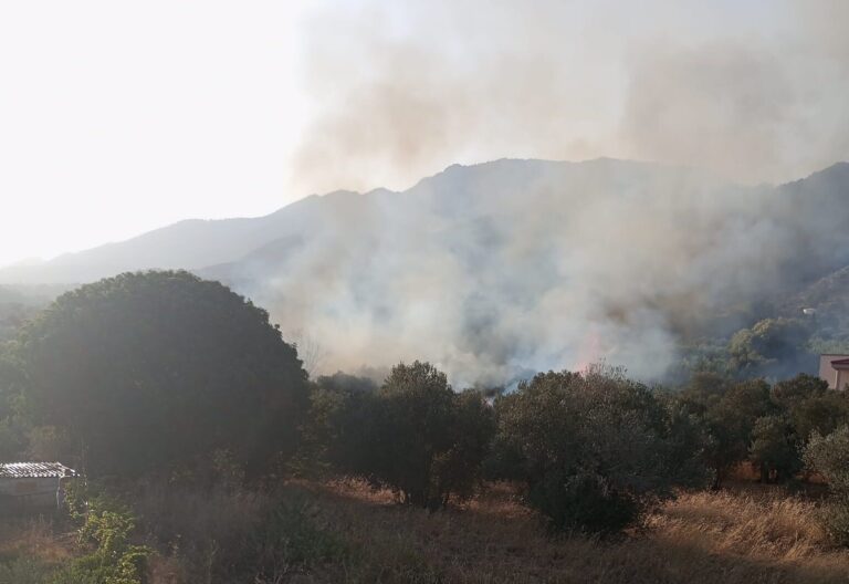 Σε εξέλιξη πυρκαγιά στο Μοσχοπόδι Θήβας