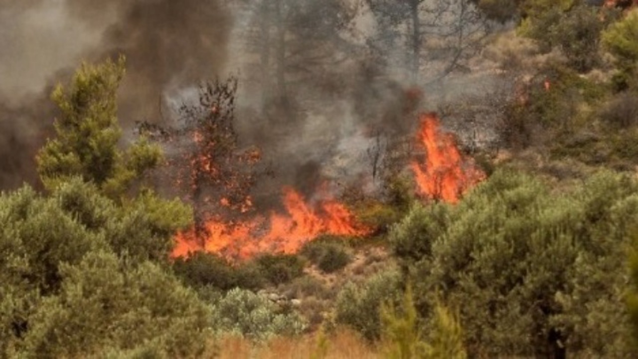 Πυρκαγιά σε αγροτοδασική έκταση, στην περιοχή Μελία Αλεξανδρούπολης