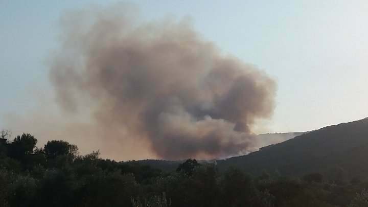 Υπό μερικό έλεγχο η φωτιά στη Β. Κυνουρία