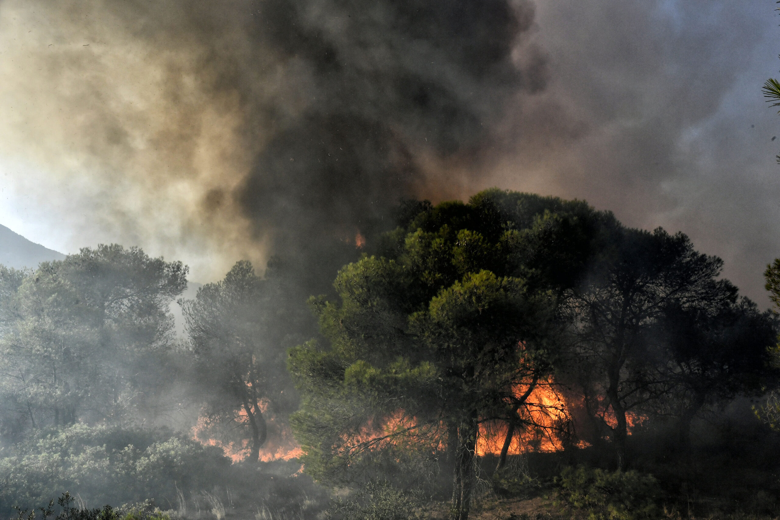 Έβρος: Μήνυμα του 112 για απομάκρυνση από την περιοχή της Αύρας προς Κομοτηνή