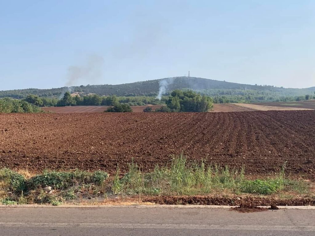 Αποκαλυπτικές φωτογραφίες από τις απόπειρες εμπρησμού στον Αυλώνα – Τέσσερις προσαγωγές