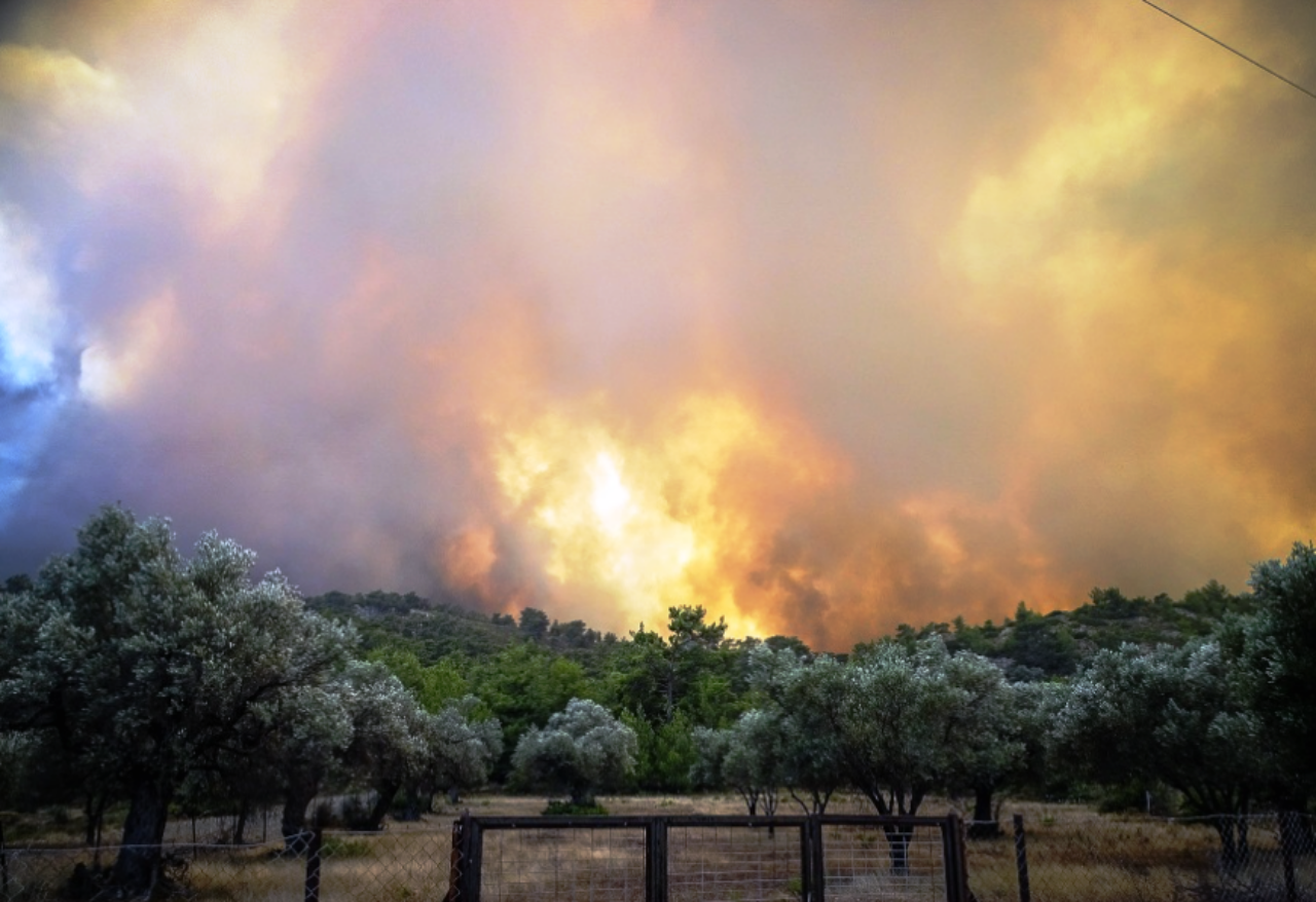 Η επομένη ημέρα για τις επιχειρήσεις που καταστράφηκαν από τις πυρκαγιές