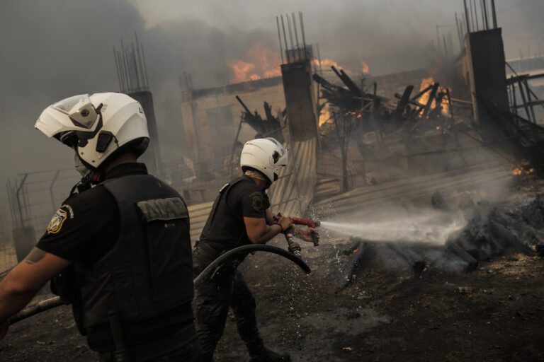 Ευθύμιος Λέκκας: Aνάγκη επένδυσης στην πρόληψη των πυρκαγιών