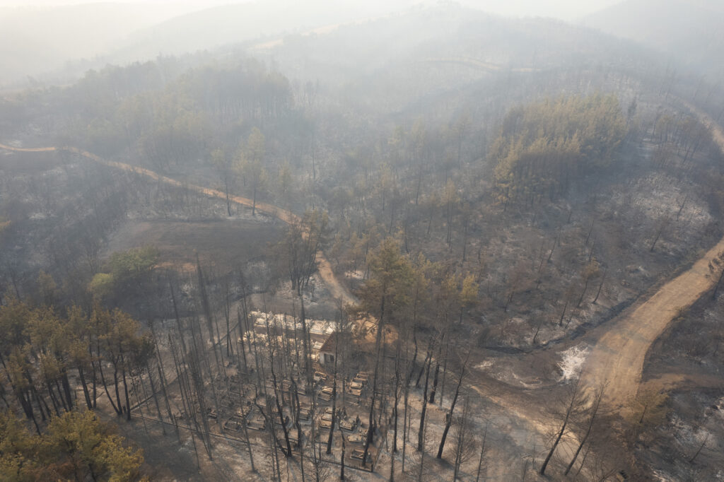 Συνεχίζεται για δωδέκατη ημέρα η πυρκαγιά στον Έβρο – Ποιος ο σχεδιασμός για την επόμενη μέρα