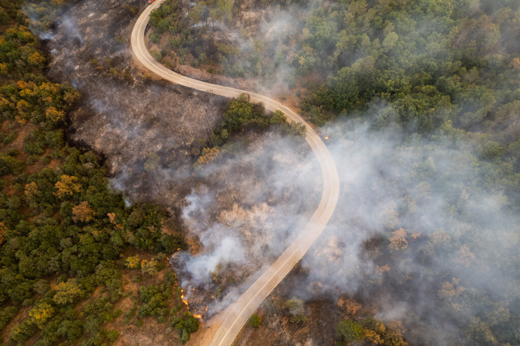 Γ. Αρτoποιός: Ισχυρό το μέτωπο στον Έβρο – Αντιμετωπίσαμε περισσότερες από 600 πυρκαγιές