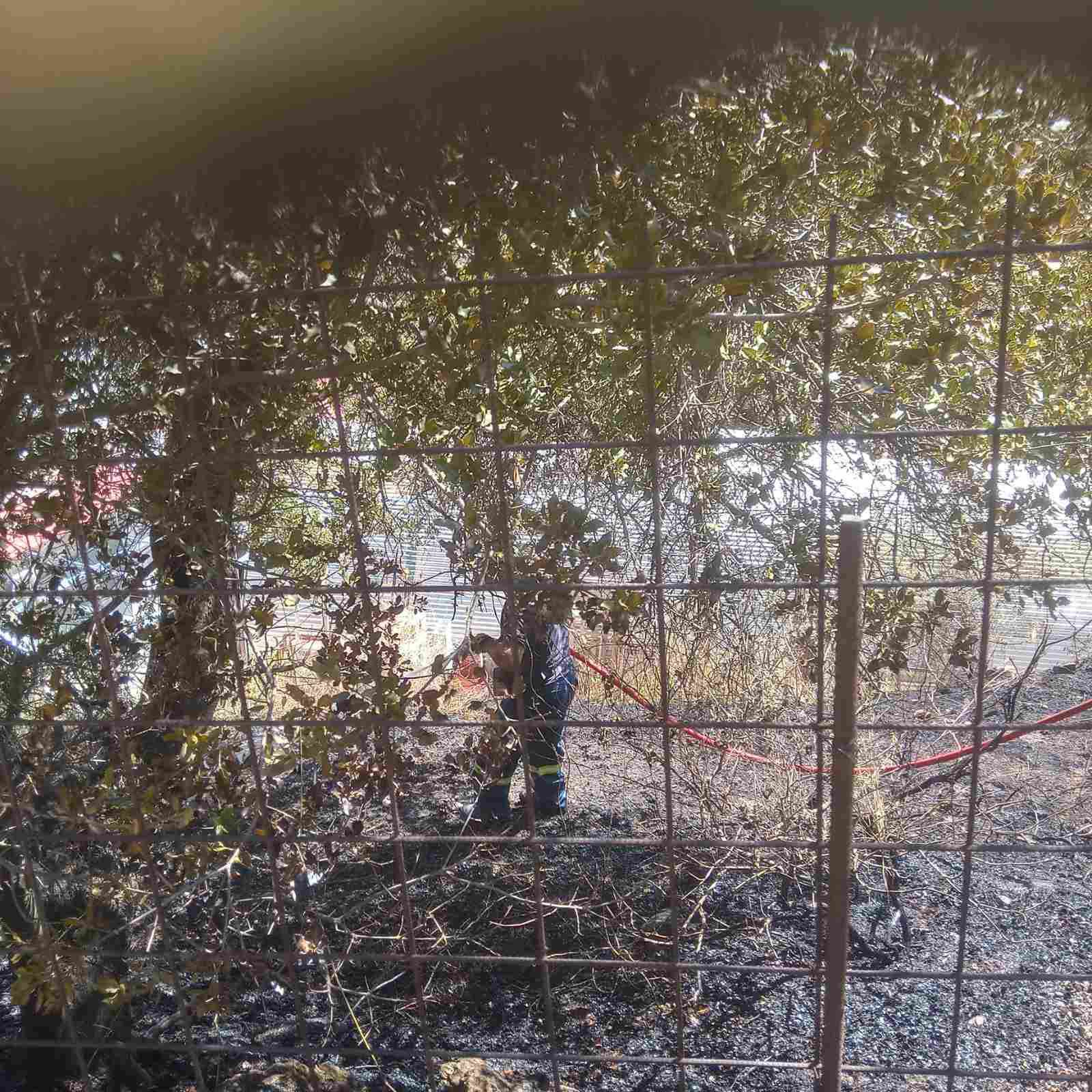 Χανιά: Νέα σύλληψη για εμπρησμό για την πυρκαγιά στο Σέμπρωνα