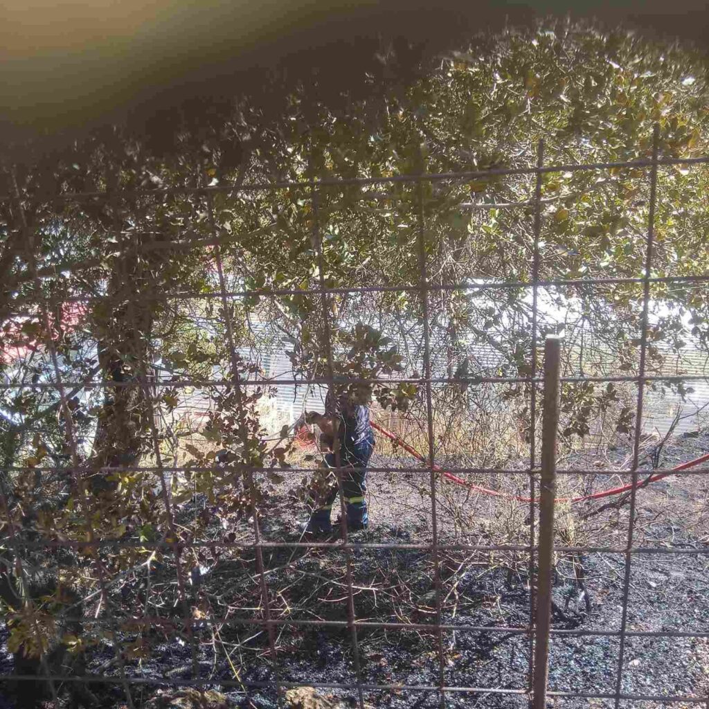 Χανιά: Συνελήφθη 80χρονος ως υπαίτιος της πυρκαγιάς στην Κάνδανο