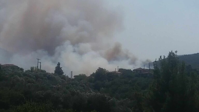 Τρίπολη: Σε πύρινο κλοιό η Β. Κυνουρία – Κάηκαν σπίτια στην Αγία Σοφία (video)