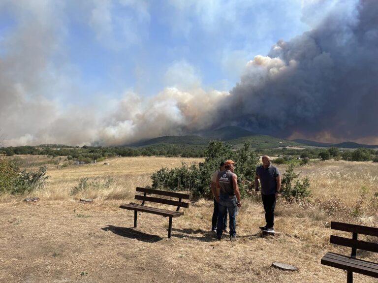 Αλεξανδρούπολη: Φωτιά μεταξύ Πυλαίας, Μελίας – Εκκενώνονται 7 οικισμοί (video)