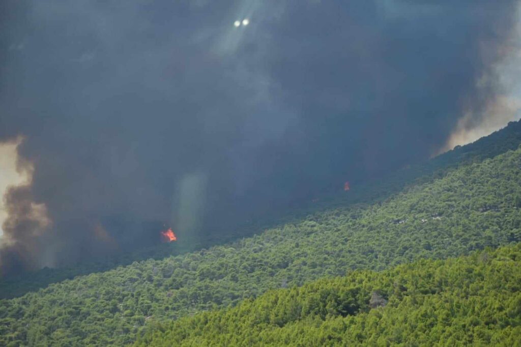 Δραματικές ώρες στην Πάρνηθα: Στον Εθνικό Δρυμό η φωτιά