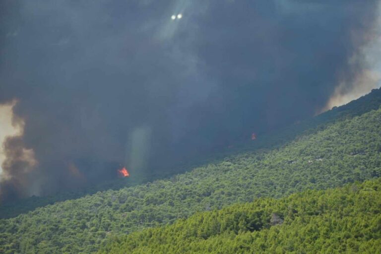 Λακωνία: Πυρκαγιά στον οικισμό Σούστιανοι στο Βόρειο Ταύγετο