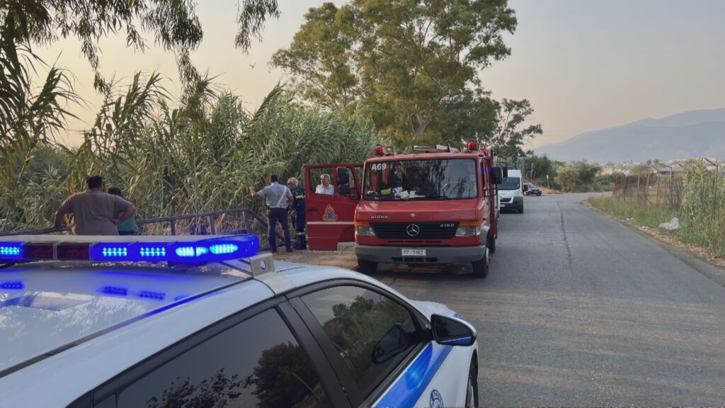 Καλαμάτα: Αυτοκίνητο έπεσε στο ποτάμι δίπλα στη «Διασπορά» (βίντεο)