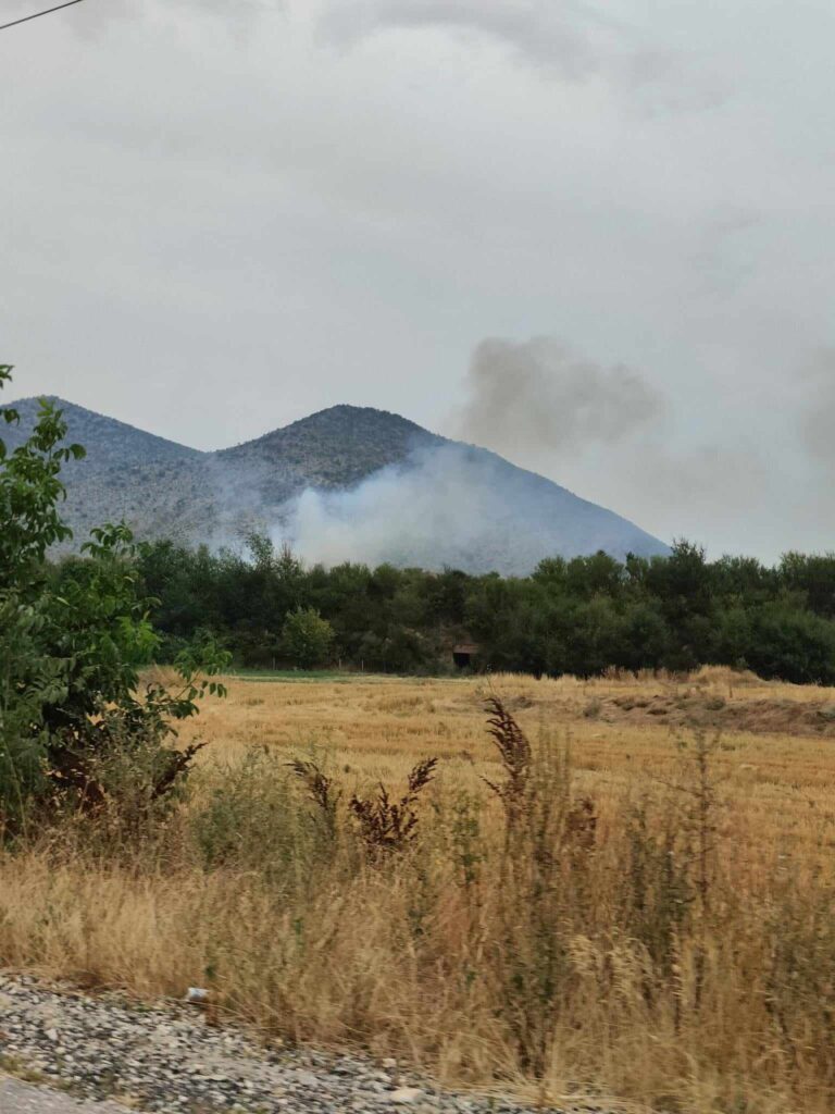 Κοζάνη: Υπο έλεγχο οι δύο πυρκαγιές στην περιοχή του Ελλησπόντου