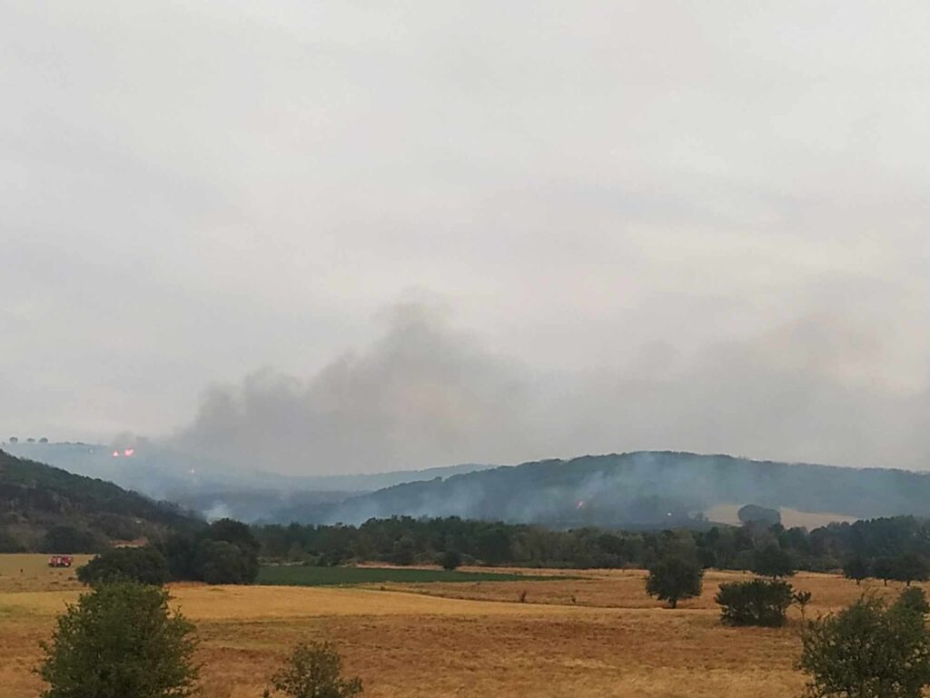 Αλεξανδρούπολη: Μάχη εναερίων μέσων να μην μπει στον οικισμό της Αύρας η φωτιά