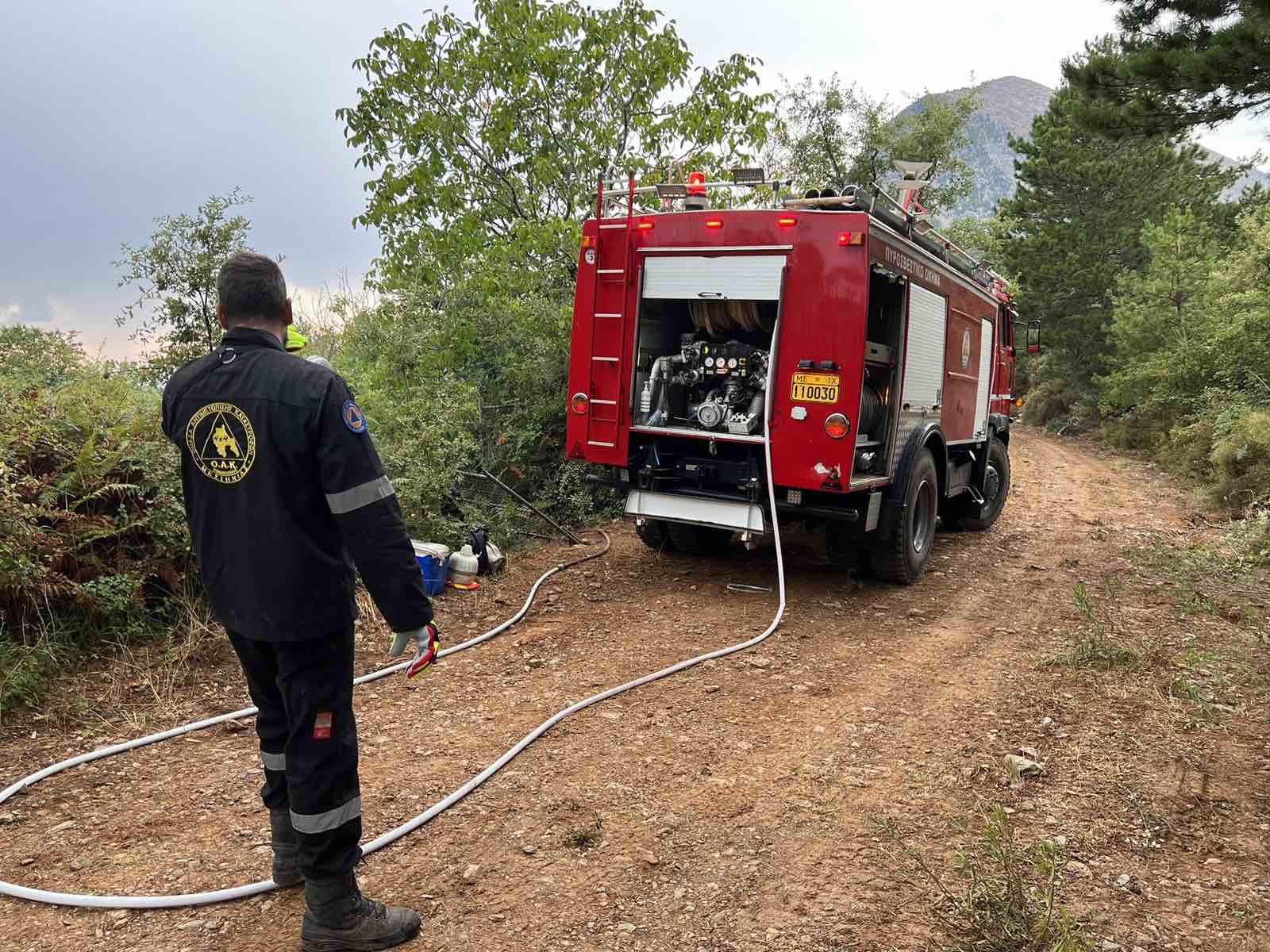 Υπο μερικό έλεγχο η πυρκαγιά στους Σουστιάνους στο βόρειο Ταύγετο