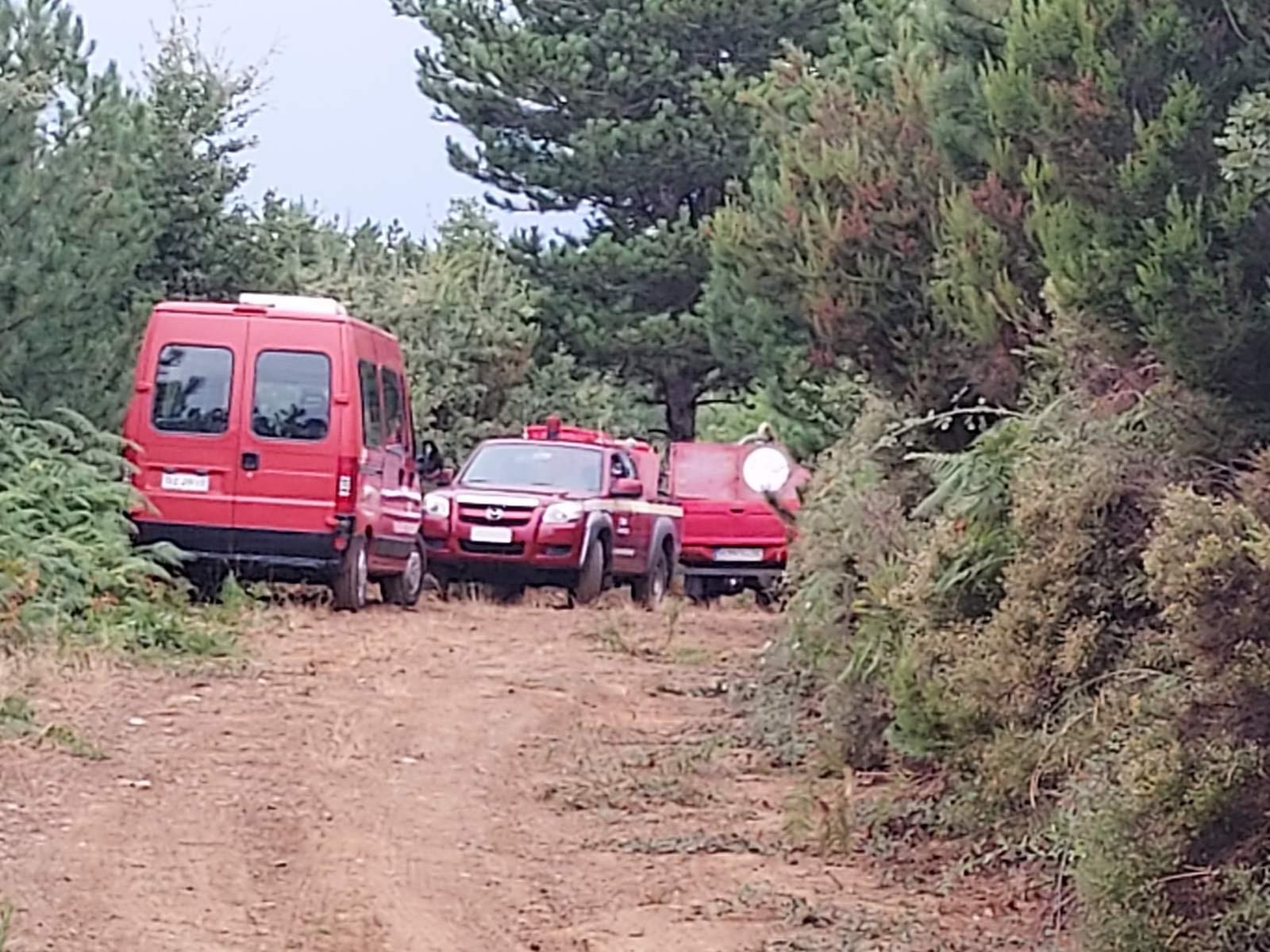 Μεσσηνία: Πυρκαγιά από κεραυνό στο δάσος της Βασιλικής στον Ταύγετο