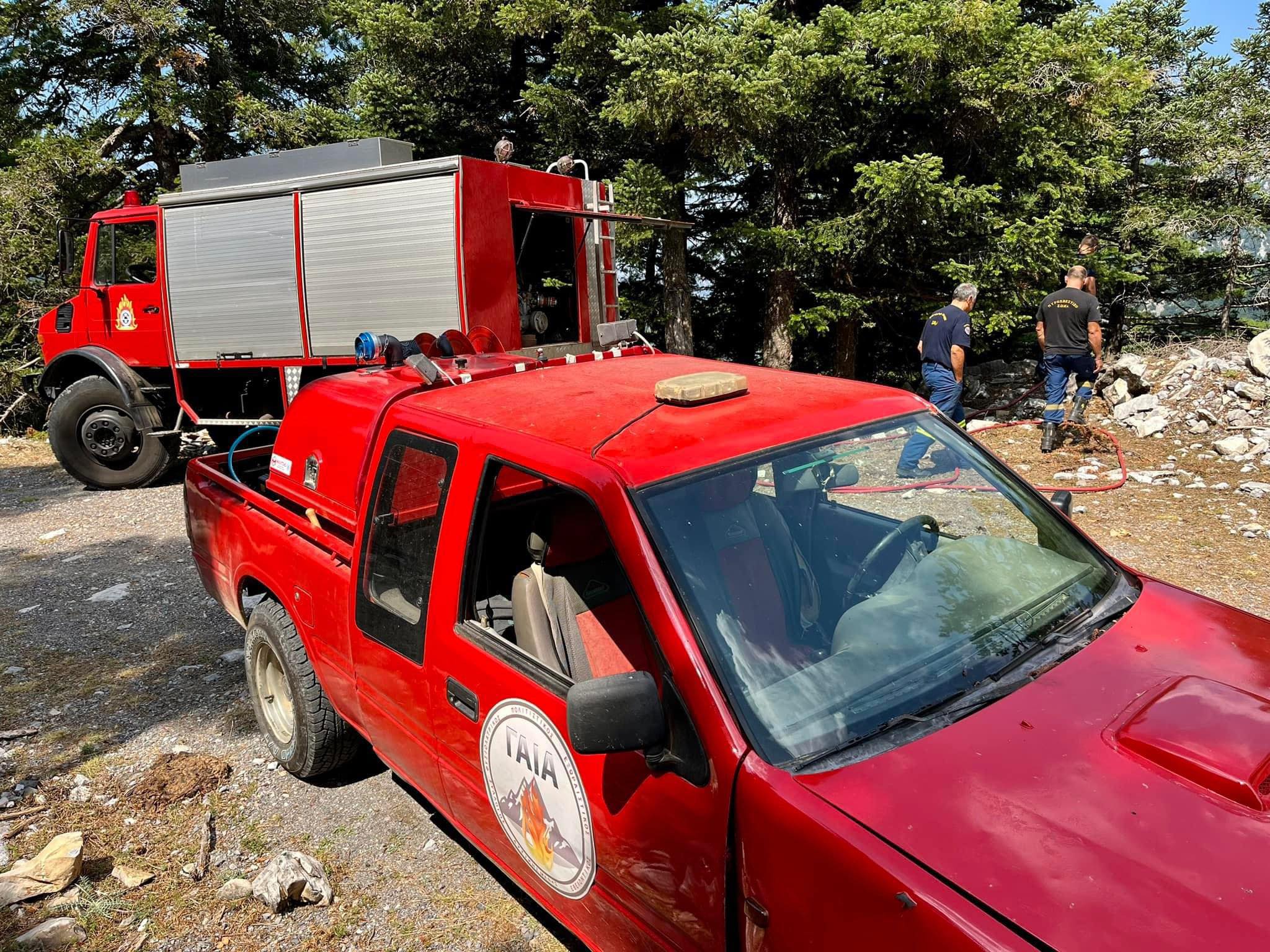 Μεσσηνία: Σε εξέλιξη δύο πυρκαγιές σε Πλάτσα και Καλό Νερό