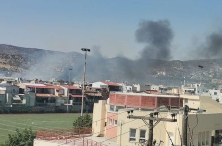 Βόλος: Φωτιά σε αποθήκη κοντά στο ίδρυμα “Άσπρες Πεταλούδες”- Μήνυμα από το 112 για εκκένωση της περιοχής