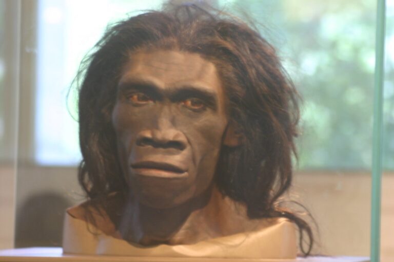 Έρευνα: Σφοδρό ψύχος εξάλειψε τον πληθυσμό των αρχαϊκών ανθρώπων που ζούσαν στην Ευρώπη πριν από 1,1 εκατομμύρια χρόνια