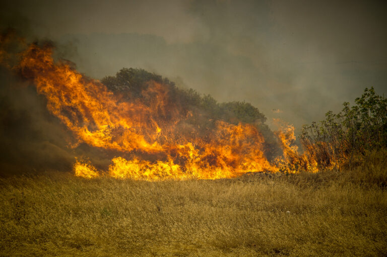 Φλώρινα: Πυρκαγιά σε περιοχή με χαμηλή βλάστηση στην Σιταριά