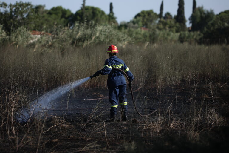 Φωτιά στην Κάρυστο – Επί ποδός οι πυροσβεστικές δυνάμεις λόγω ανέμων
