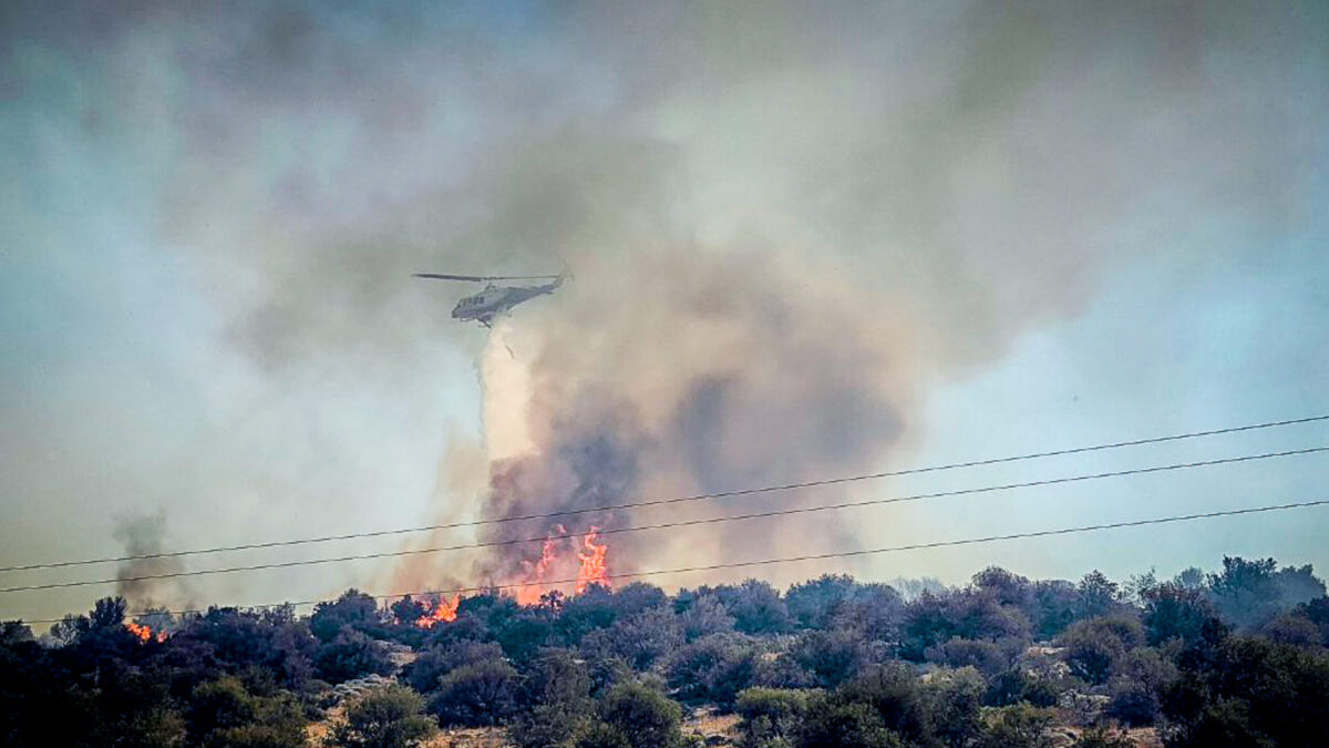 Βοιωτία: Μεγάλη αναζωπύρωση στα Βάγια – Απεγκλωβίστηκαν πατέρας και γιος από κτηνοτροφική μονάδα