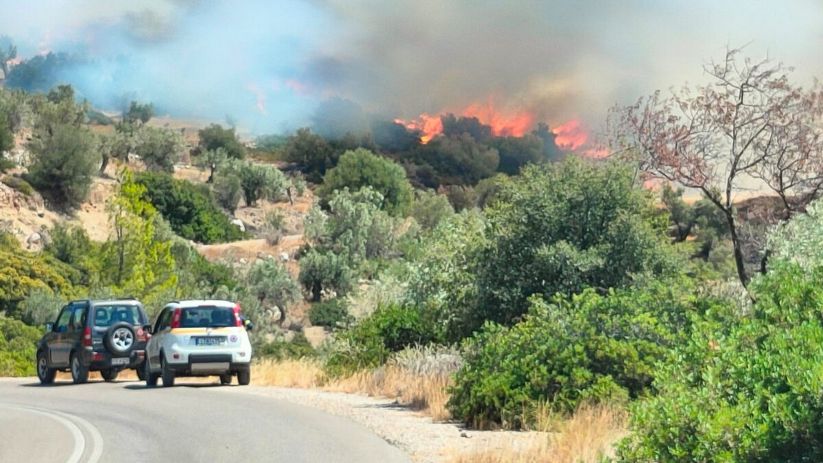 Βοιωτία: Στις φλόγες το Μοναστήρι του Οσίου Λουκά στο Στείριο – Απεγκλωβισμός 2 κτηνοτρόφων στα Βάγια