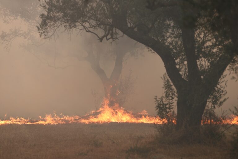 Αναστολή καταβολής ασφαλιστικών εισφορών, δόσεις και παρατάσεις για τους πληγέντες από πυρκαγιές