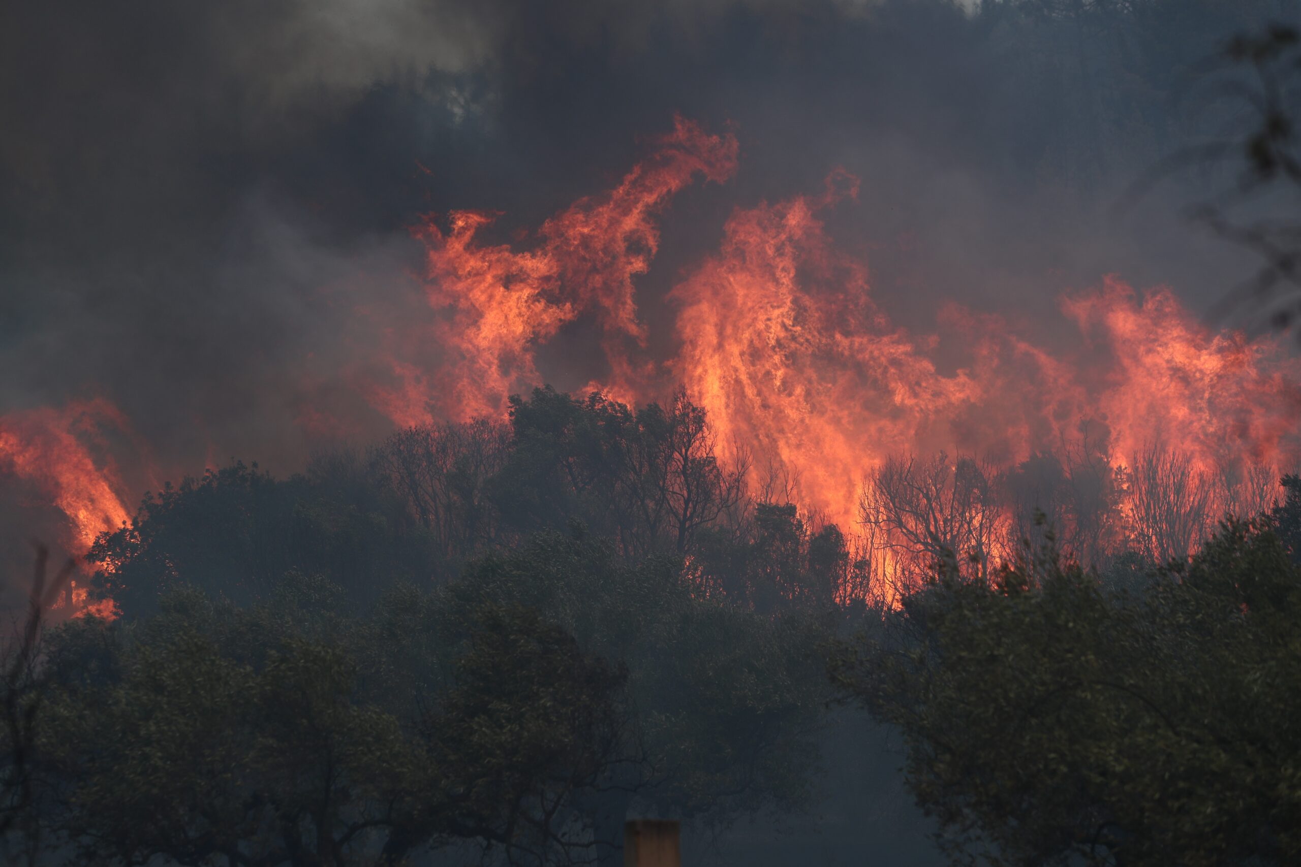 Φωτιά στον Έβρο: Αναζωπύρωση στον Κοτρωνιά σε δύσβατη περιοχή – Επιχειρούν εναέρια μέσα