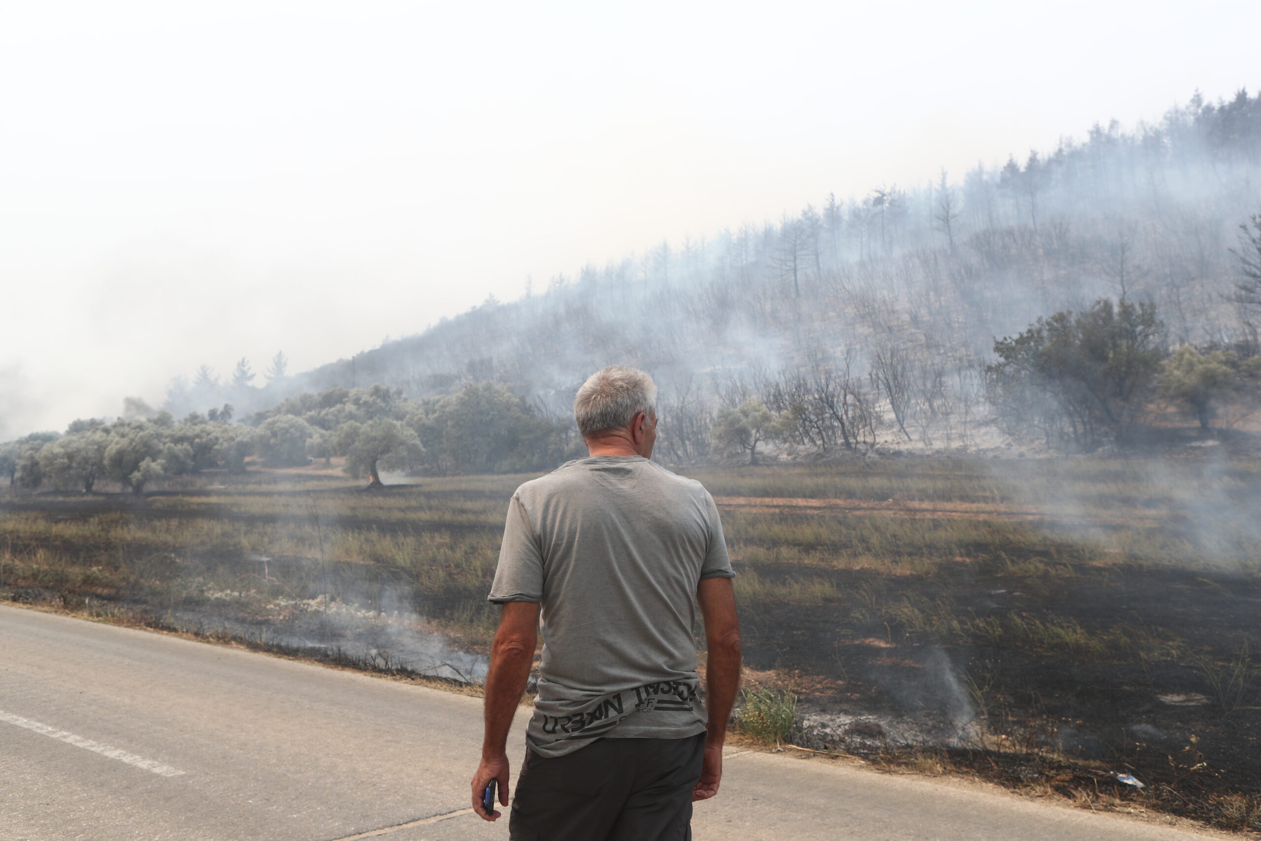 Κομισιόν για φωτιά στον Έβρο: «Η μεγαλύτερη που έχει καταγραφεί ποτέ στην Ε.Ε» – «Κρανίου τόπος» η Δαδιά