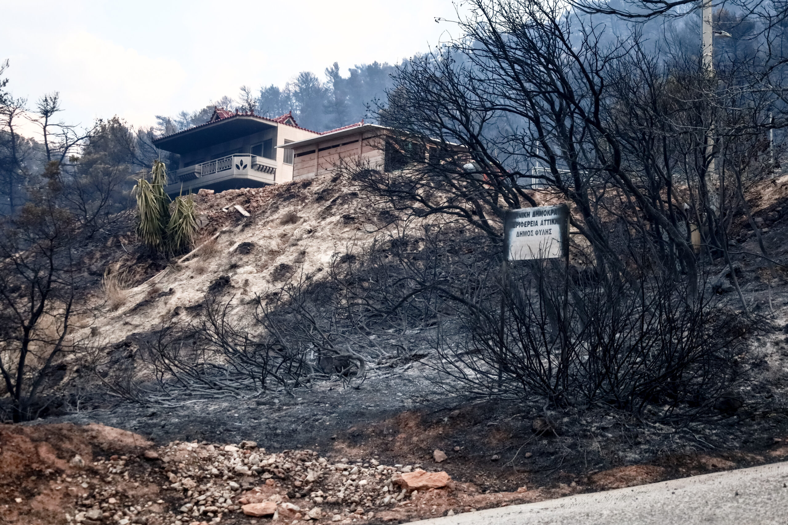 Η ΕΠΟΜΕΝΗ ΜΕΡΑ ΑΠΟ ΤΗ ΠΥΡΚΑΓΙΑ ΣΤΗ ΦΥΛΗ (ΚΩΣΤΑΣ ΤΖΟΥΜΑΣ / EUROKINISSI)