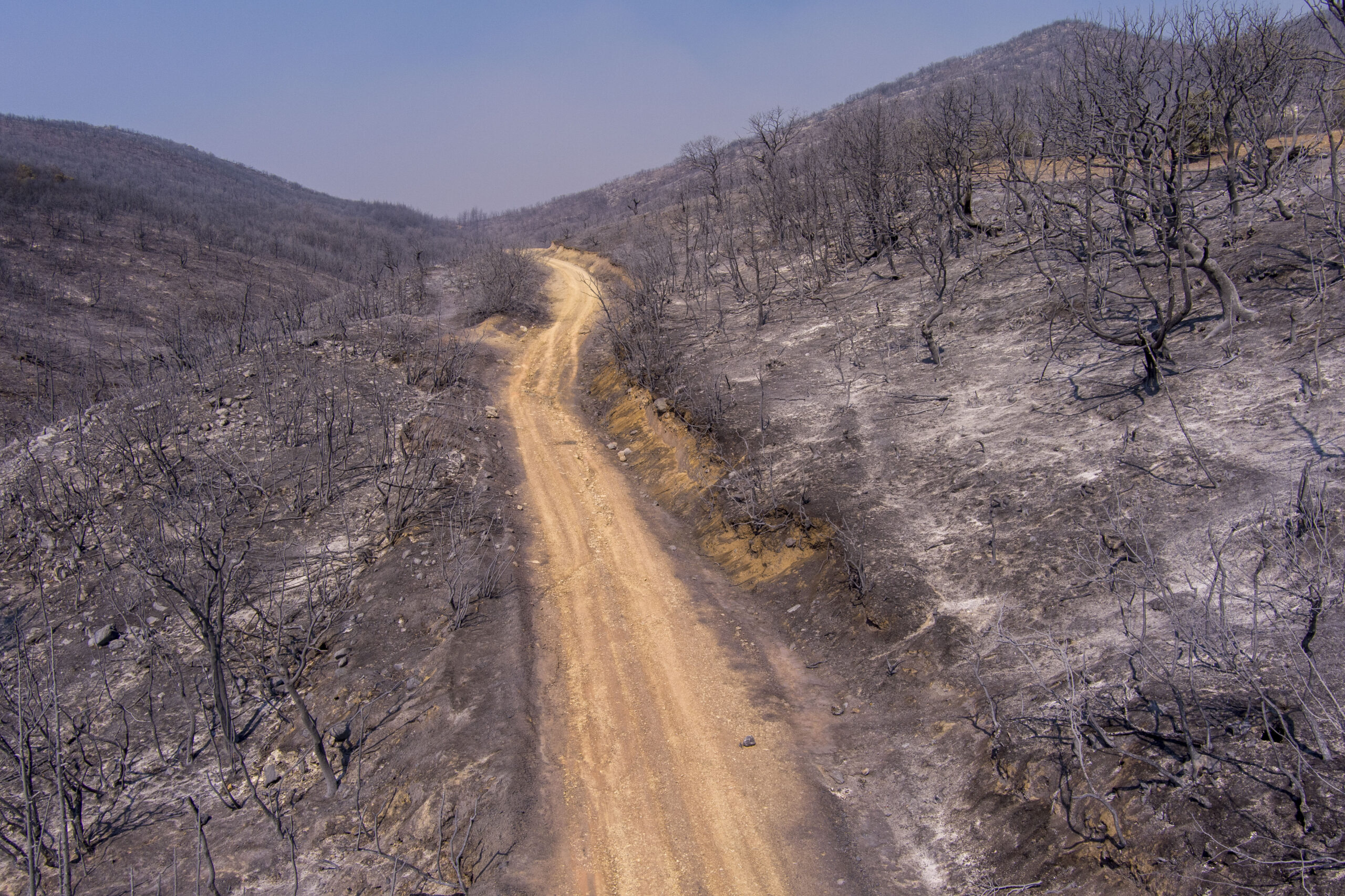 Γ. Αμυράς: Η κλιματική κρίση μετατρέπει μια απλή φωτιά σε μεγα-πυρκαγιά την οποία δεν μπορείς να τιθασεύσεις
