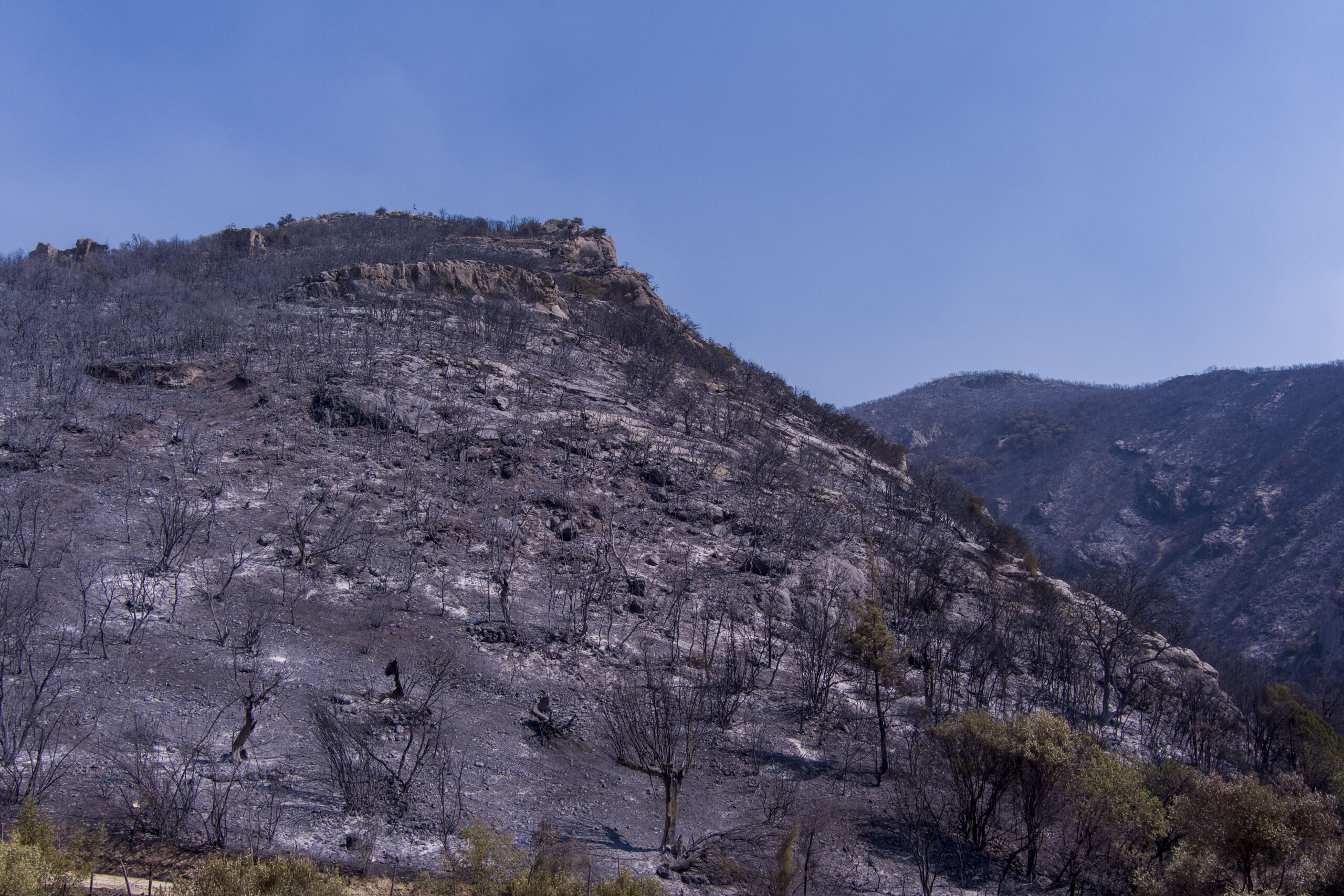 Σε Αισύμη και Κοτρωνιά τα ενεργά μέτωπα-Τιτάνιο το έργο της κατάσβεσης -Τι λεει ο Κοινοτάρχης Δαδιάς (video)