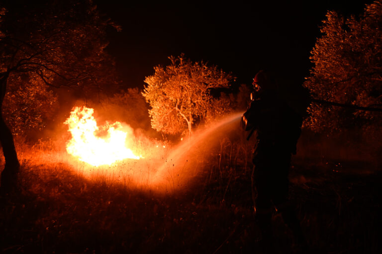 Μάχη με τις φλόγες σε Έβρο και Ροδόπη: Ανησυχία για την πυρκαγιά από τη Δαδιά προς την Κοτρωνιά
