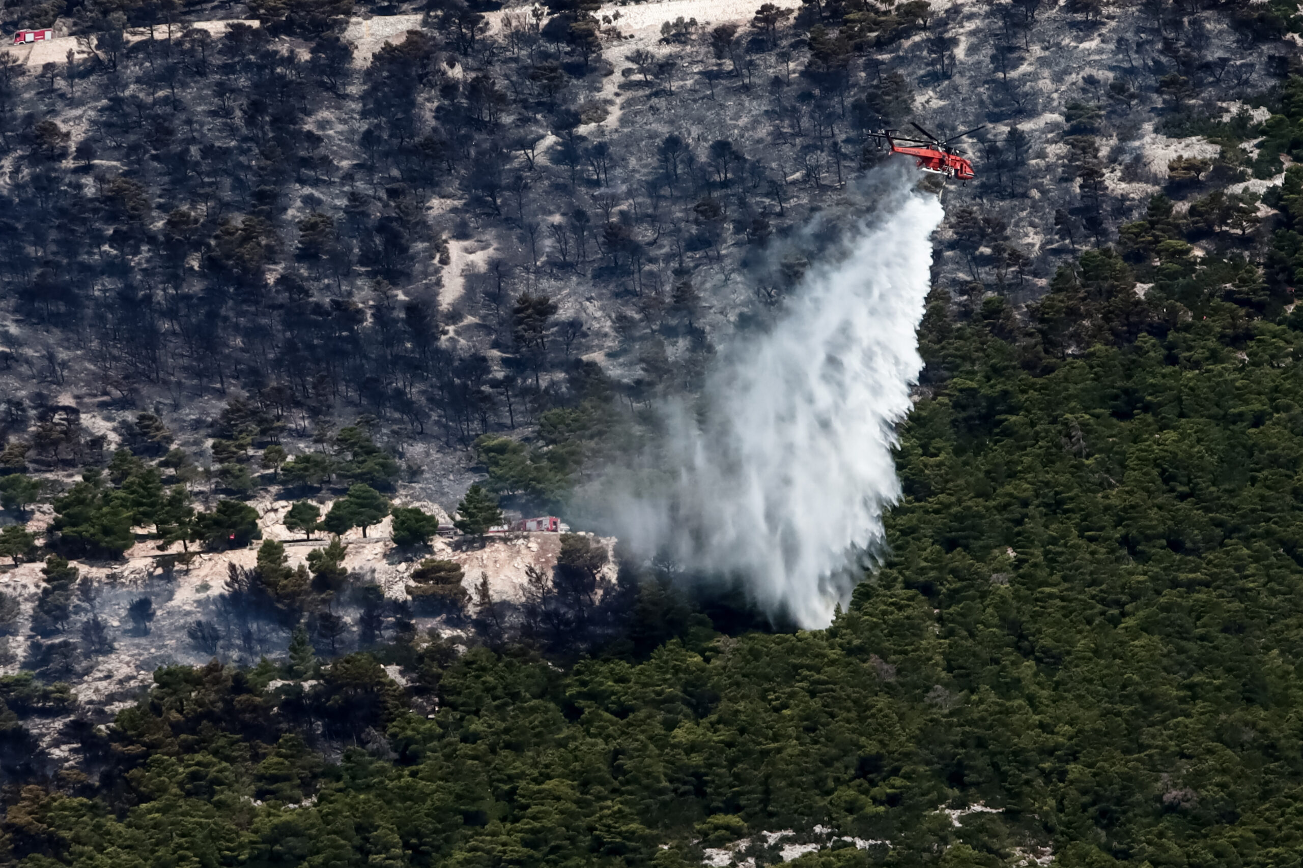 Πυρκαγιά στον Έβρο: Μάχη σε πολλαπλά μέτωπα – Αναμένεται εντολή εκκένωσης και για το χωριό Τριφύλλι