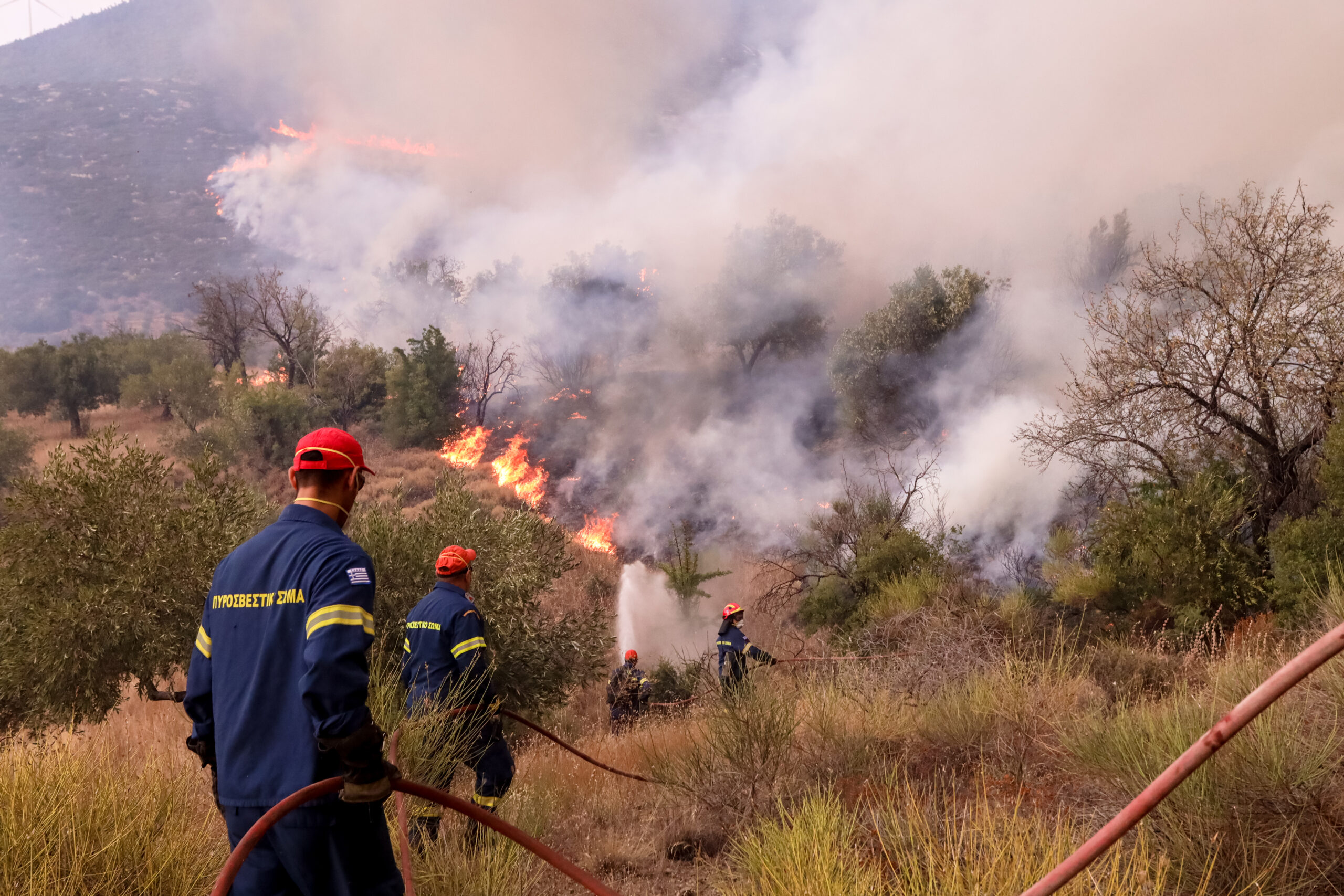 Συνεχίζεται για δωδέκατη ημέρα η πυρκαγιά στον Έβρο – Ποιος ο σχεδιασμός για την επόμενη μέρα