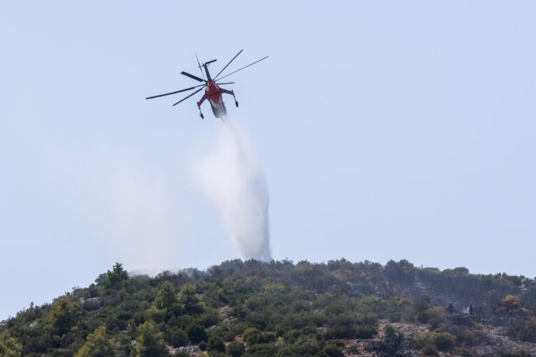 Βοιωτία: Τρία τα ενεργά μέτωπα – Μάχη να μην περάσει η πυρκαγιά στο ελατόδασος του Ελικώνα