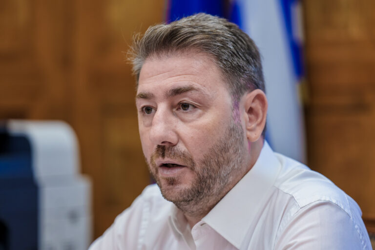 Ανδρουλάκης για τις πυρκαγιές: Εθνικό σχέδιο και όχι ευχολόγια για την πρόληψη και την αντιμετώπισή τους