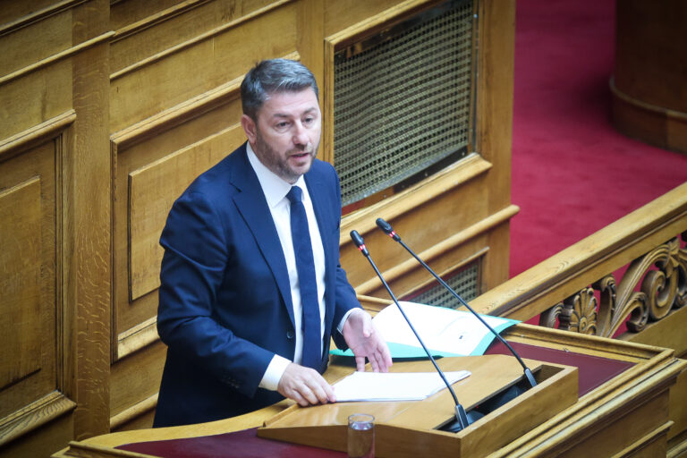 Ανδρουλάκης: Δεν είναι κανονικότητα η καταστροφή του φυσικού πλούτου – Επενδύετε σε επικοινωνιακά παιχνίδια για να κρύψετε τις αδυναμίες σας