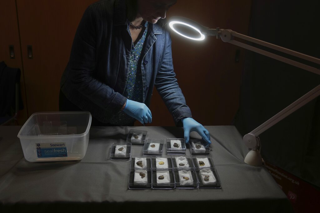 Britain Medieval Treasure
