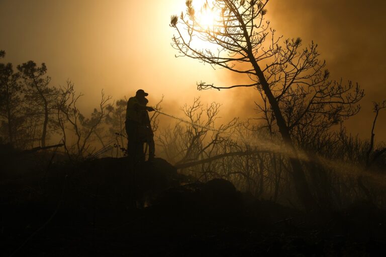 Οι μακροπρόθεσμες επιπτώσεις των δασικών πυρκαγιών στην υγεία, σωματική και ψυχική