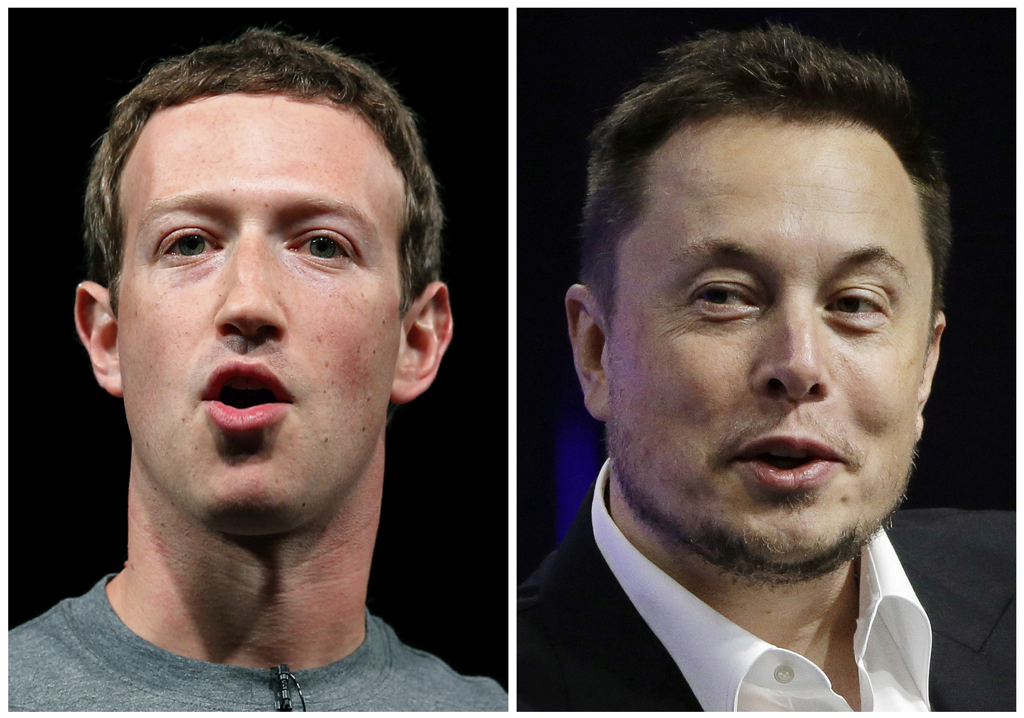 Mark Zuckerberg, Elon Musk