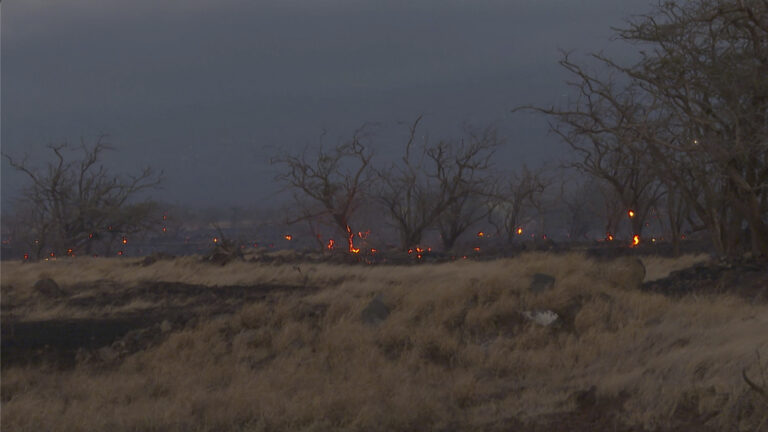 Χαβάη: Κάηκαν ολόκληρες γειτονιές, απομακρύνουν τουρίστες από το Μάουι (φωτογραφίες, βίντεο)