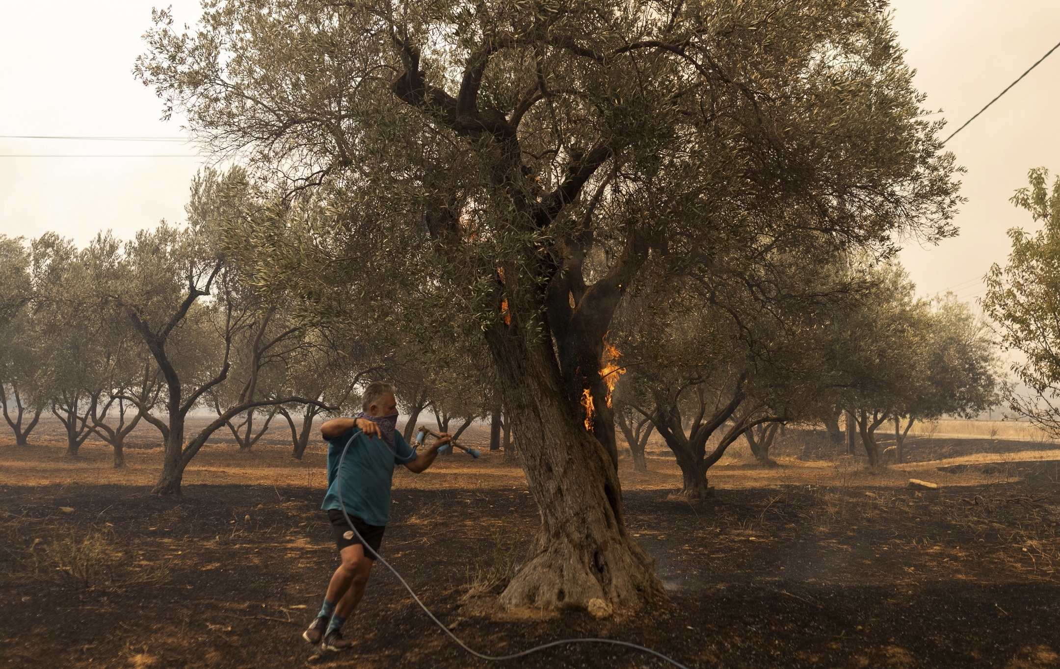 Greece Wildfires